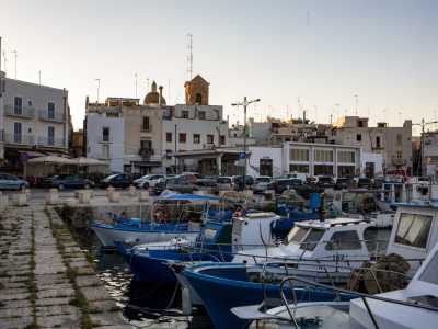 Nonostante la crisi della pesca Mola continua a �resistere� ed � tra le poche cittadine costiere del barese a poter ancora contare su una cospicua flotta. Pescherecci che sono quasi tutti di colore bianco e blu...